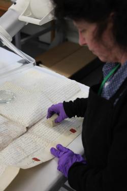 Pembrokeshire Archives - Conservation Work