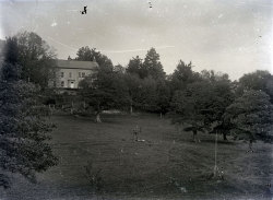 Tom Mathias: Houses and Servants