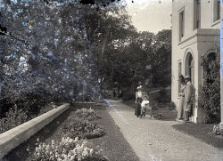 Tom Mathias: Houses and Servants