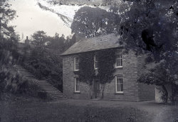 Tom Mathias: Houses and Servants