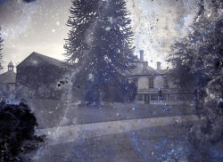 Tom Mathias: Houses and Servants