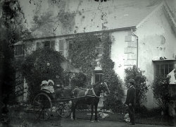 Tom Mathias: Houses and Servants