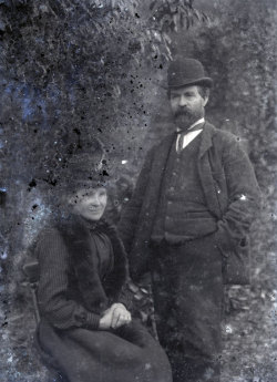 Tom Mathias: Darluniau