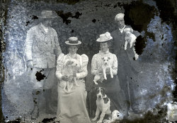 Tom Mathias: Family Groups