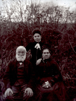 Tom Mathias: Family Groups