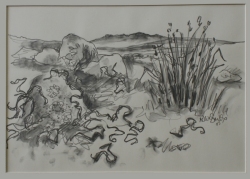 Moor near Penrhos Cottage by A Kirk Smith