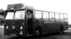 Jeff Edwards Bus Collection