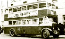 Jeff Edwards Bus Collection