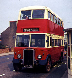 Jeff Edwards Bus Collection