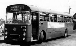 Jeff Edwards Bus Collection