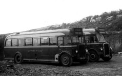 Jeff Edwards Bus Collection