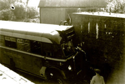 Jeff Edwards Bus Collection