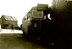 Jeff Edwards Bus Collection