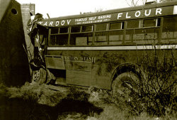 Jeff Edwards Bus Collection