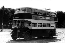 Jeff Edwards Bus Collection