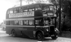 Jeff Edwards Bus Collection