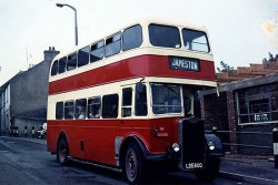 Jeff Edwards Bus Collection