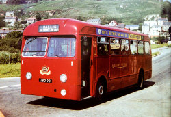 Jeff Edwards Bus Collection