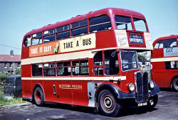 Jeff Edwards Bus Collection
