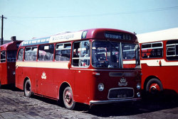 Jeff Edwards Bus Collection