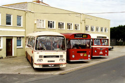 Jeff Edwards Bus Collection