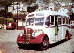 Jeff Edwards Bus Collection