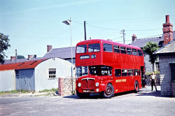 Jeff Edwards Bus Collection