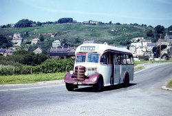 Jeff Edwards Bus Collection