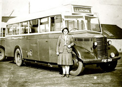 Jeff Edwards Bus Collection