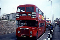 Jeff Edwards Bus Collection