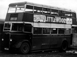 Jeff Edwards Bus Collection