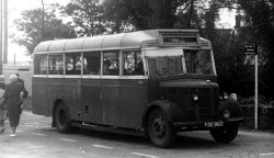 Jeff Edwards Bus Collection