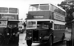 Jeff Edwards Bus Collection