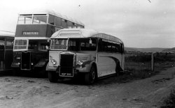 Jeff Edwards Bus Collection