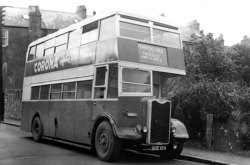 Jeff Edwards Bus Collection