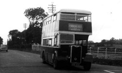 Jeff Edwards Bus Collection