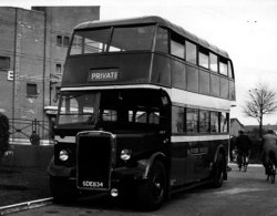 Jeff Edwards Bus Collection