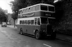 Jeff Edwards Bus Collection