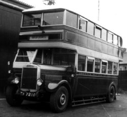 Jeff Edwards Bus Collection