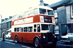 Jeff Edwards Bus Collection