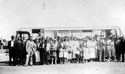 Jeff Edwards Bus Collection