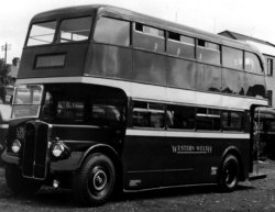 Jeff Edwards Bus Collection