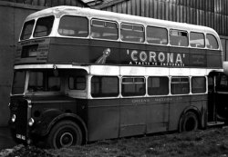 Jeff Edwards Bus Collection