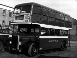 Jeff Edwards Bus Collection