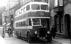 Jeff Edwards Bus Collection