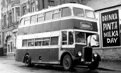 Jeff Edwards Bus Collection