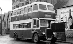 Jeff Edwards Bus Collection