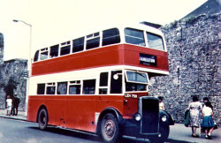 Jeff Edwards Bus Collection