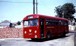 Jeff Edwards Bus Collection