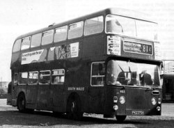 Jeff Edwards Bus Collection
